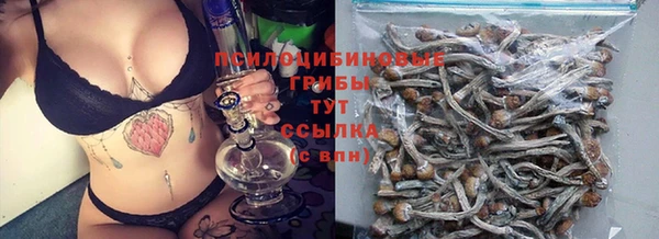 прущие крисы Аркадак