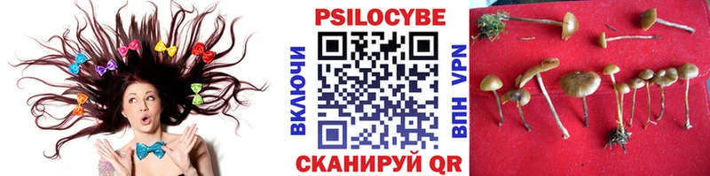 Галлюциногенные грибы мухоморы  Суздаль 