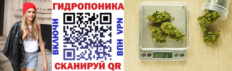 Шишки марихуана LSD WEED  ссылка на мегу как зайти  сайты даркнета официальный сайт  Суздаль 